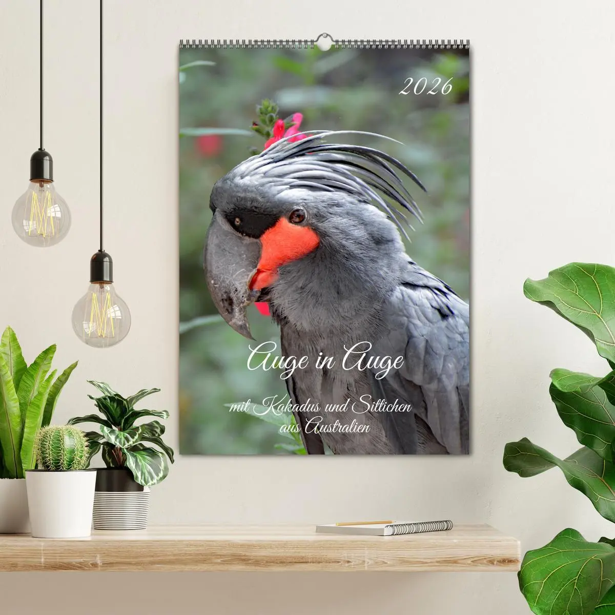 Bild: 9783516346640 | Auge in Auge mit Kakadus und Sittichen aus Australien (Wandkalender...