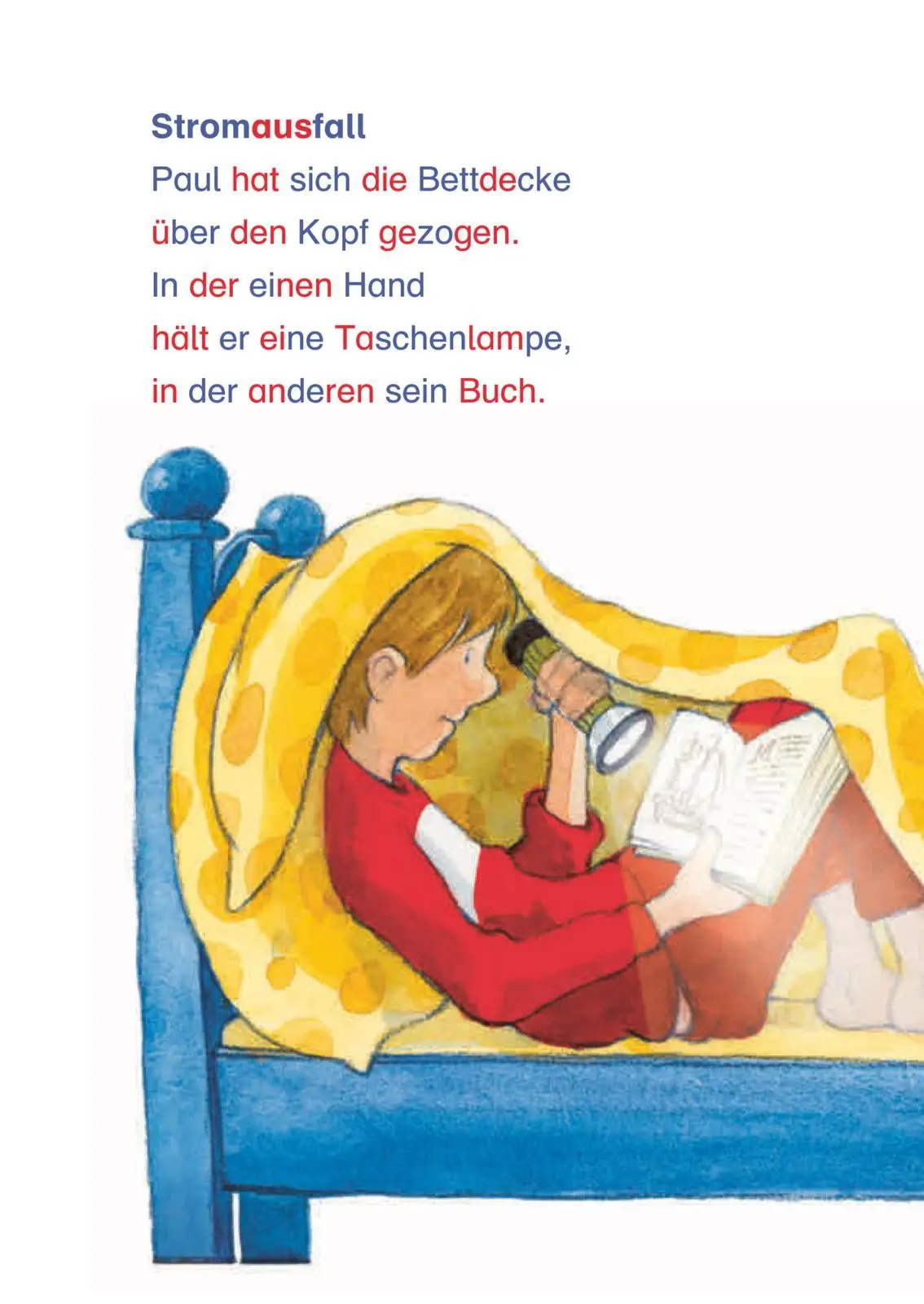 Bild: 9783551066640 | LESEMAUS zum Lesenlernen Sammelbände: Wilde Silben-Geschichten | Buch