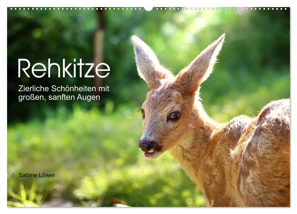 Cover: 9783457796740 | Rehkitze, zierliche Schönheiten mit großen, sanften Augen...