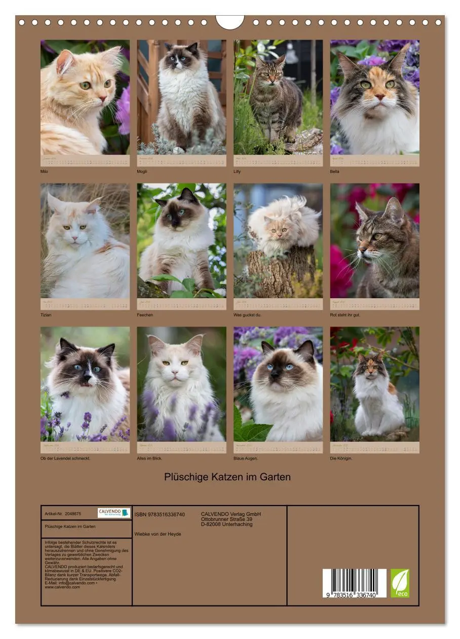 Bild: 9783516336740 | Plüschige Katzen im Garten (Wandkalender 2026 DIN A3 hoch),...
