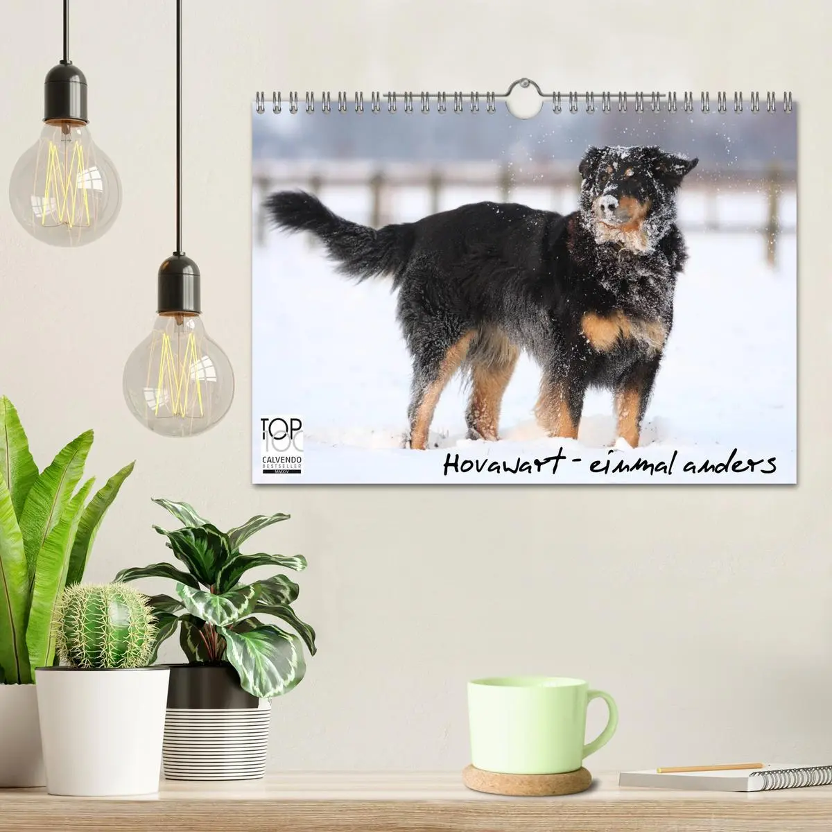 Bild: 9783516186840 | Hovawarte - einmal anders (Wandkalender 2026 DIN A4 quer), CALVENDO...