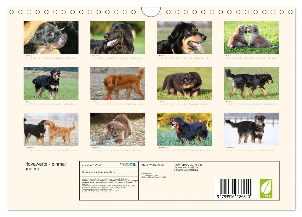 Bild: 9783516186840 | Hovawarte - einmal anders (Wandkalender 2026 DIN A4 quer), CALVENDO...
