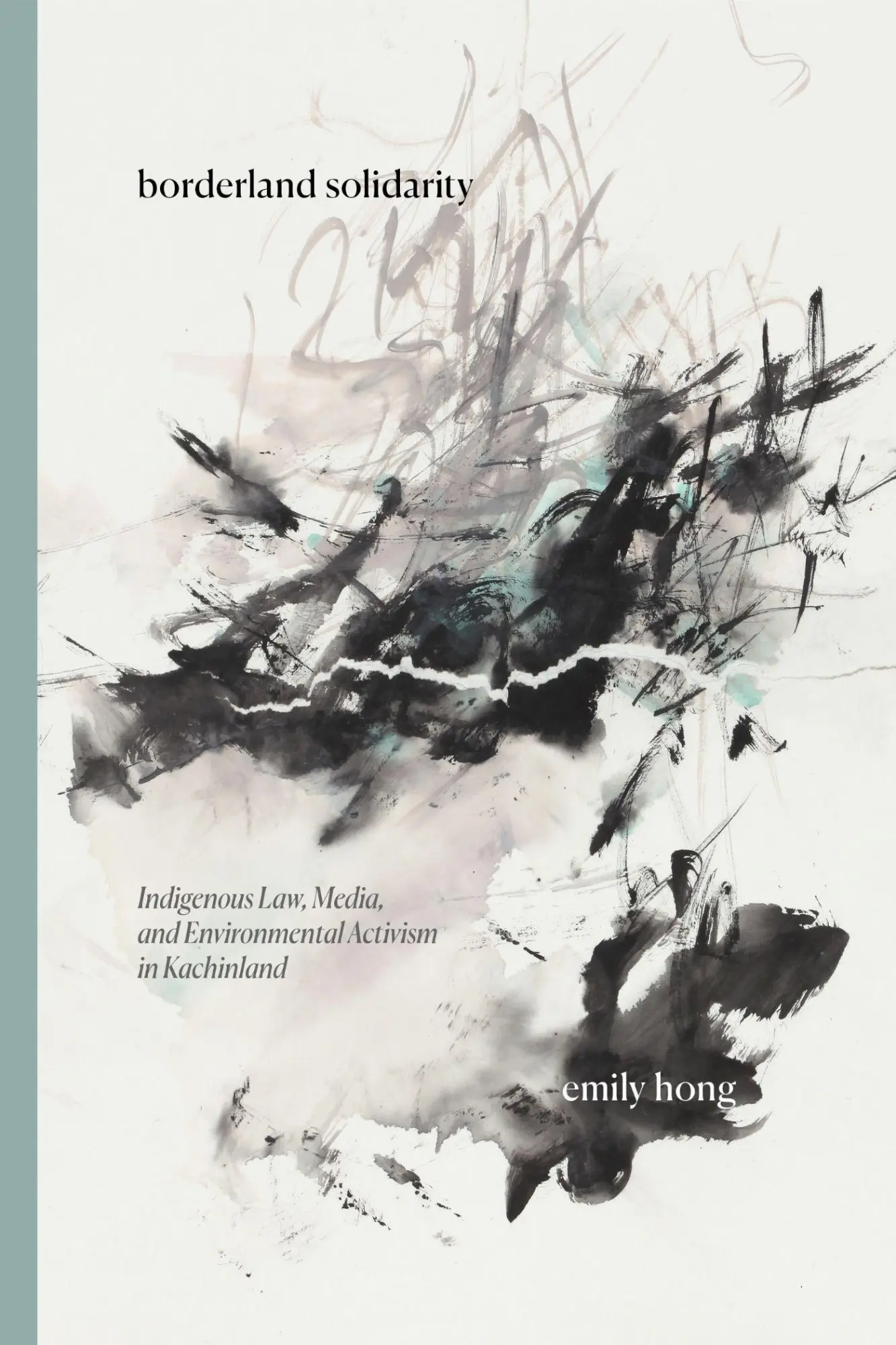 Cover: 9781503646940 | Borderland Solidarity | Emily Hong | Taschenbuch | Englisch | 2026