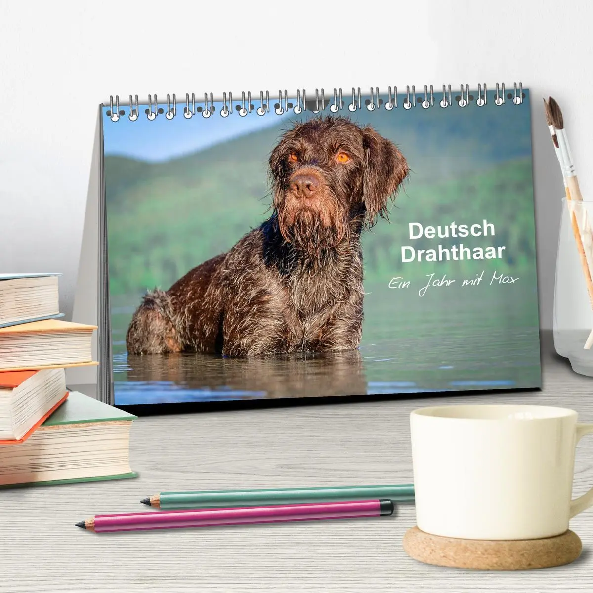 Bild: 9783457776940 | Deutsch Drahthaar - Ein Jahr mit Max (Tischkalender 2026 DIN A5...