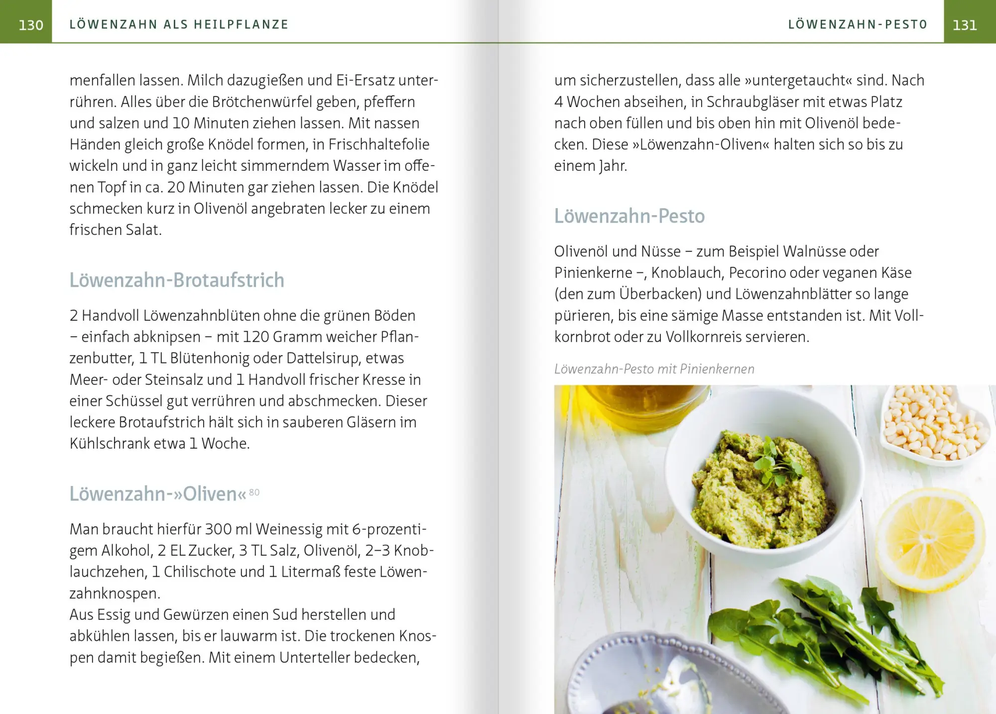 Bild: 9783863746940 | Löwenzahn - Wunderkraut für Resilienz und Lebenskraft....