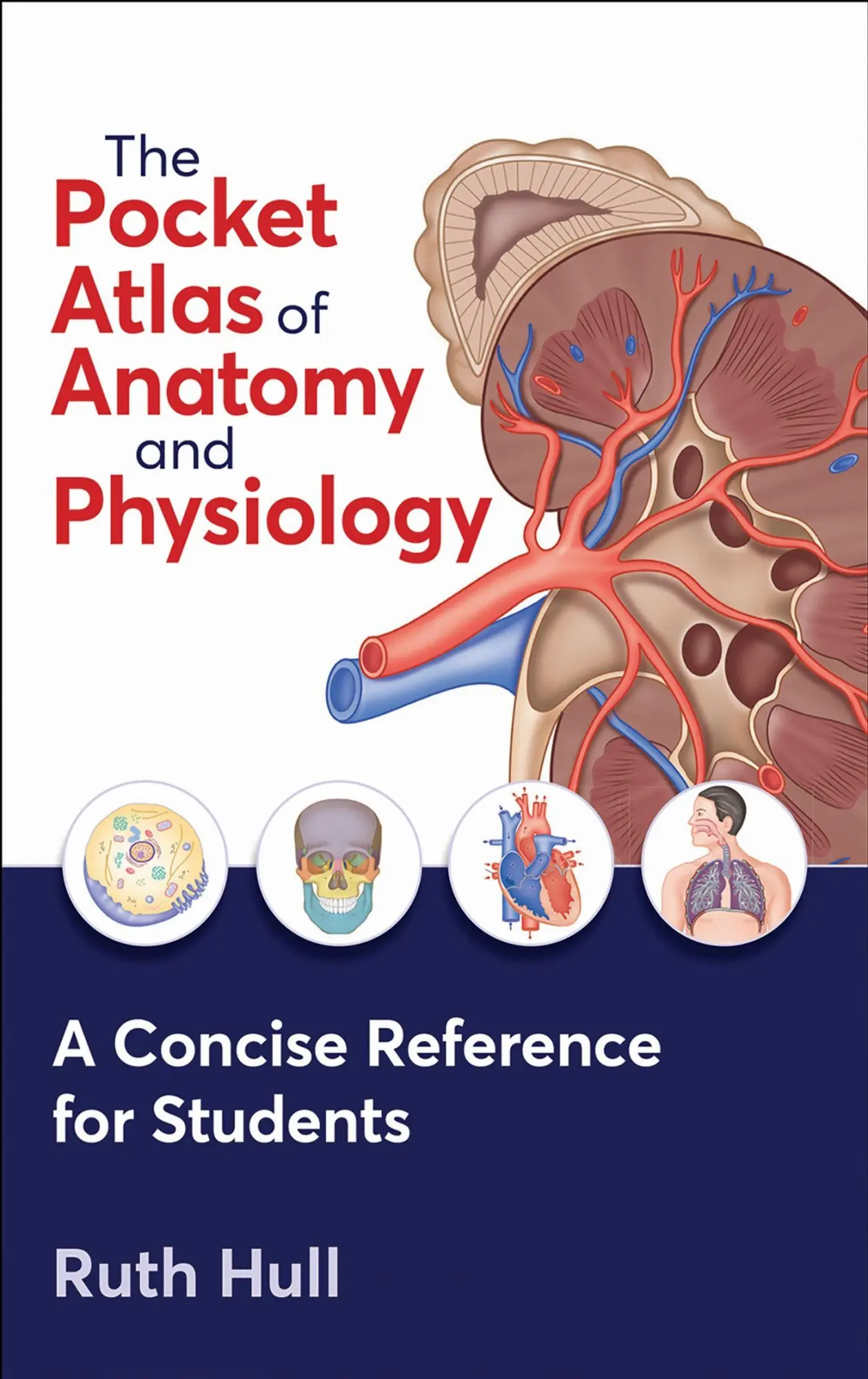 Cover: 9781718227040 | The Pocket Atlas of Anatomy and Physiology | Ruth Hull | Taschenbuch