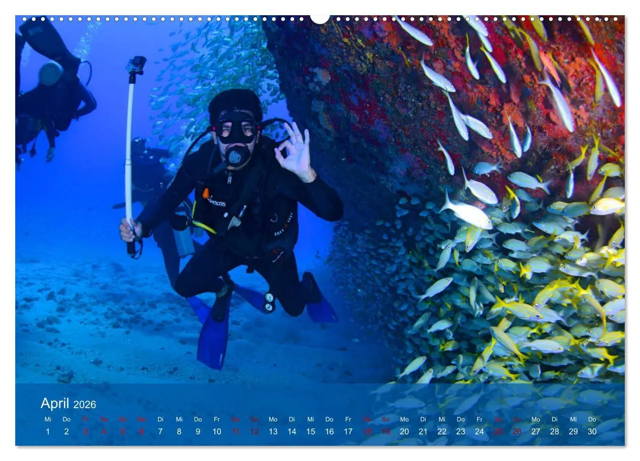 Bild: 9783457597040 | Erlebnis Tauchen - faszinierende Unterwasserwelt (Wandkalender 2026...