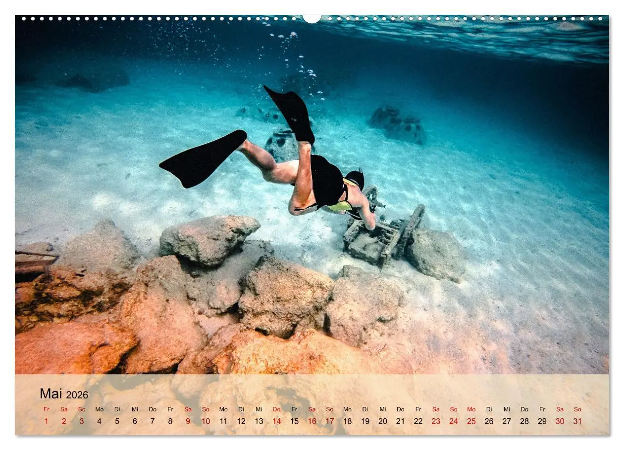 Bild: 9783457597040 | Erlebnis Tauchen - faszinierende Unterwasserwelt (Wandkalender 2026...