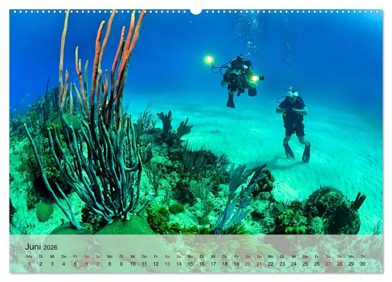 Bild: 9783457597040 | Erlebnis Tauchen - faszinierende Unterwasserwelt (Wandkalender 2026...