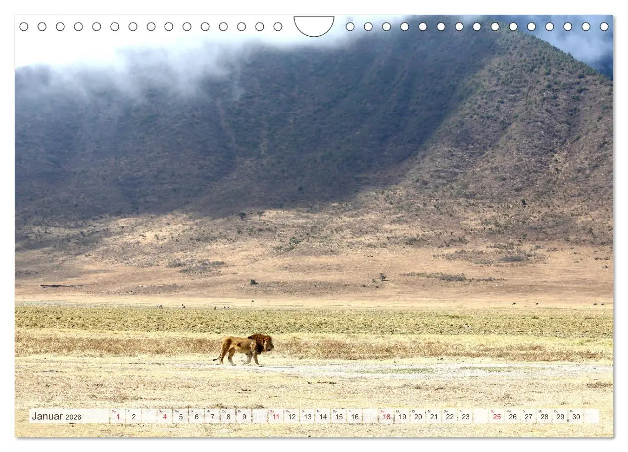 Bild: 9783457977040 | Tansania - Durch die Nationalparks Ostafrikas (Wandkalender 2026...