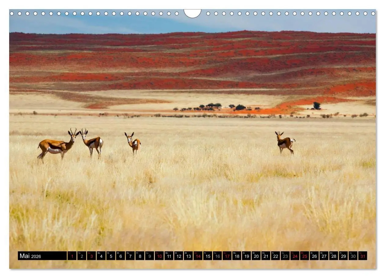 Bild: 9783516067040 | Namib Naukluft Nationalpark. NAMIBIA 2026 (Wandkalender 2026 DIN A3...