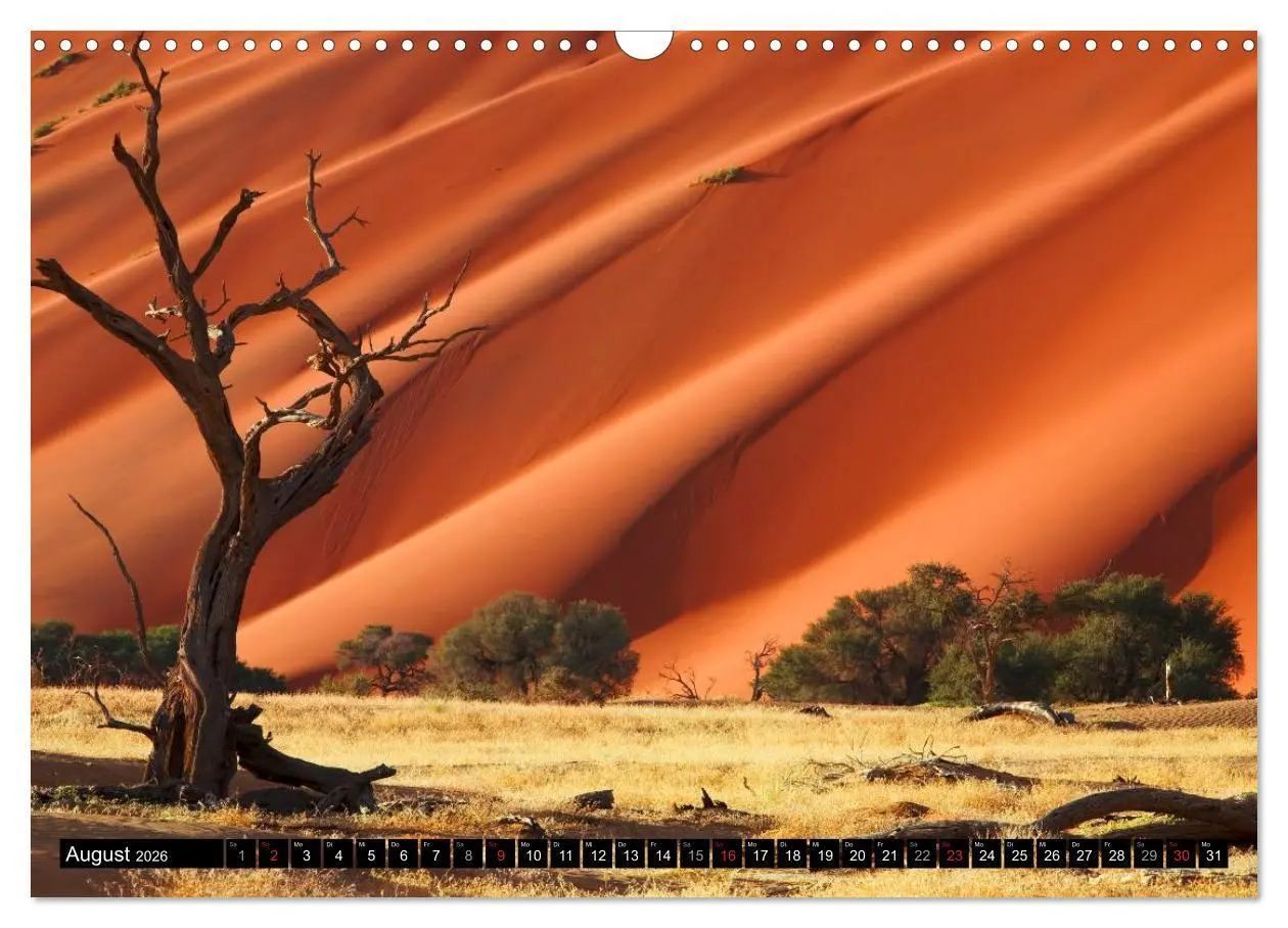 Bild: 9783516067040 | Namib Naukluft Nationalpark. NAMIBIA 2026 (Wandkalender 2026 DIN A3...