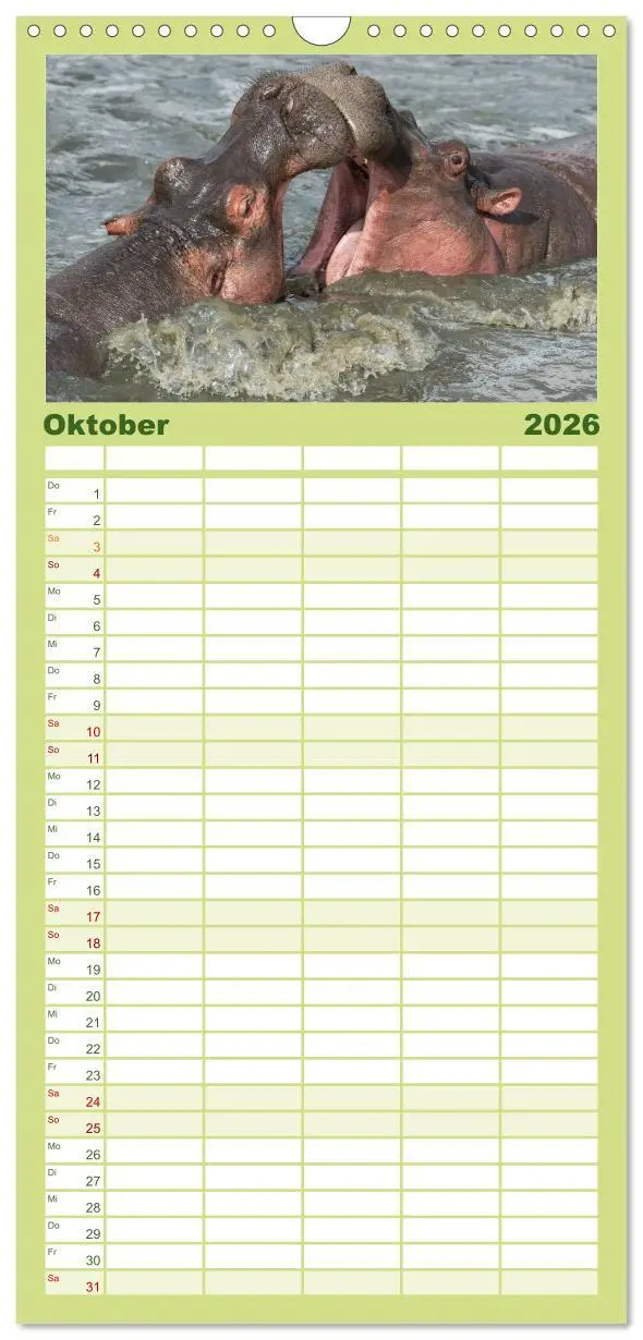 Bild: 9783516517040 | Familienplaner 2026 - Emotionale Momente: Afrika Wildlife. Part 3....