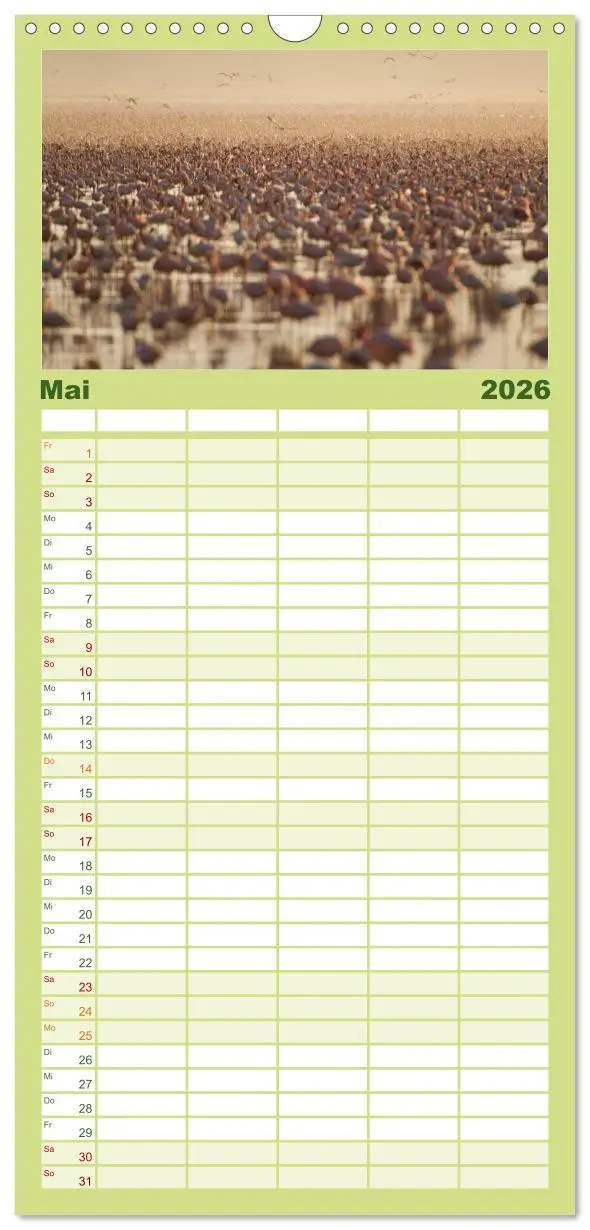 Bild: 9783516517040 | Familienplaner 2026 - Emotionale Momente: Afrika Wildlife. Part 3....