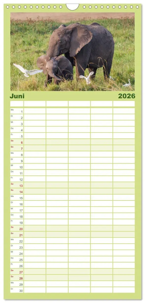 Bild: 9783516517040 | Familienplaner 2026 - Emotionale Momente: Afrika Wildlife. Part 3....