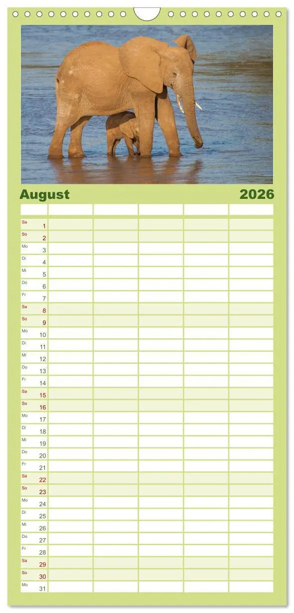 Bild: 9783516517040 | Familienplaner 2026 - Emotionale Momente: Afrika Wildlife. Part 3....