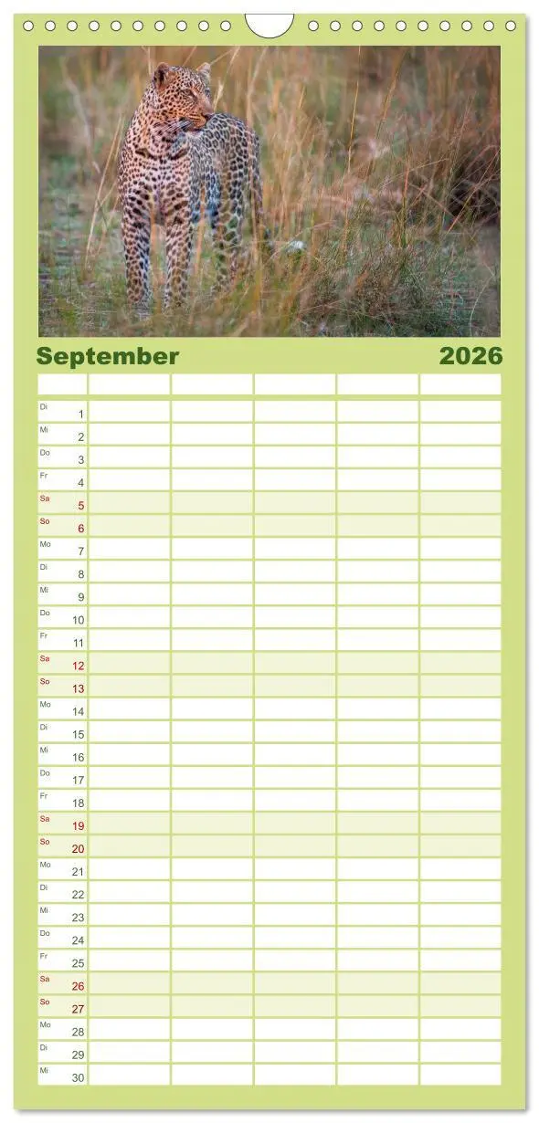 Bild: 9783516517040 | Familienplaner 2026 - Emotionale Momente: Afrika Wildlife. Part 3....