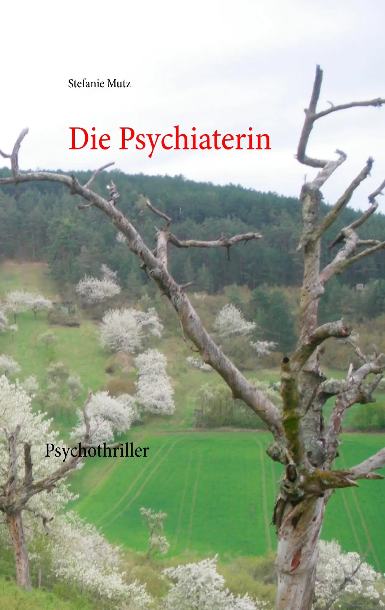Cover: 9783735787040 | Die Psychiaterin | Psychothriller | Stefanie Mutz | Taschenbuch | 2014