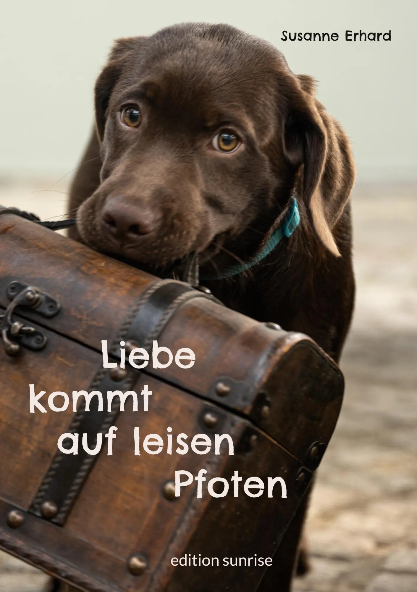 Cover: 9783910537040 | Liebe kommt auf leisen Pfoten | Susanne Erhard | Taschenbuch | 326 S.