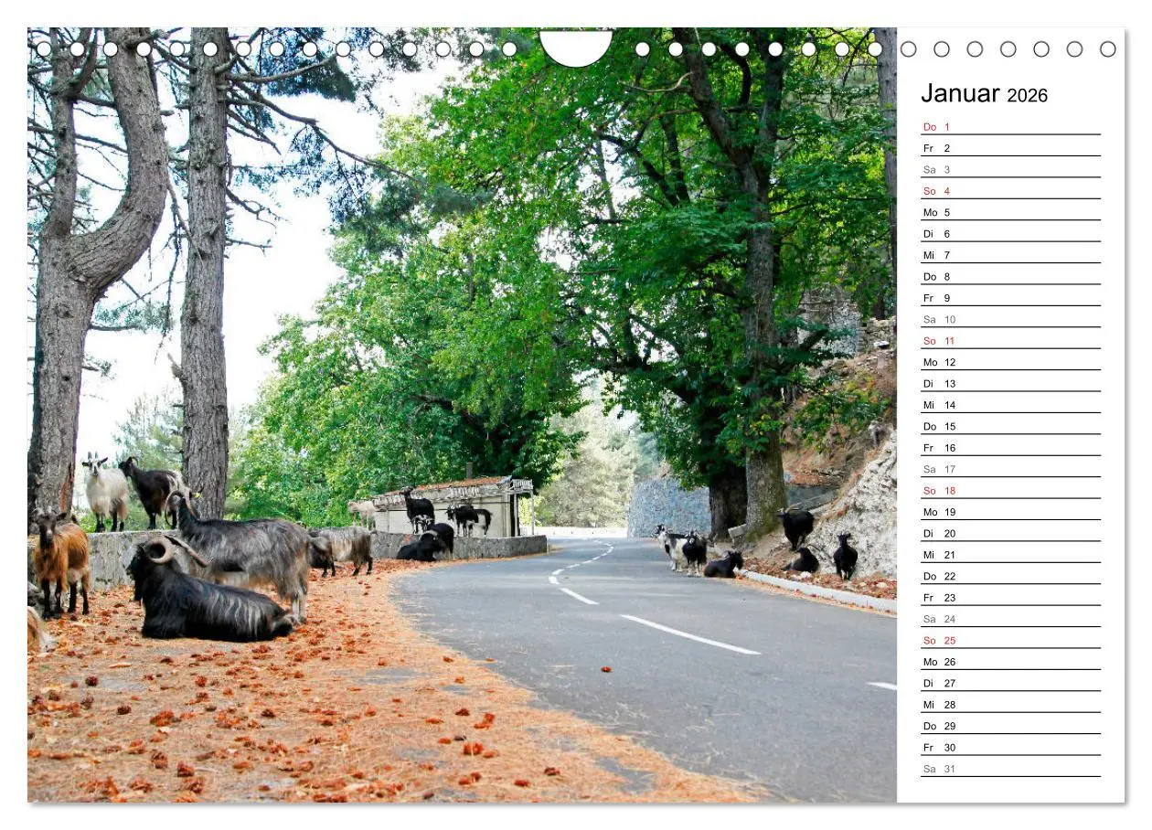 Bild: 9783457727140 | Wildromatisches Korsika (Wandkalender 2026 DIN A4 quer), CALVENDO...