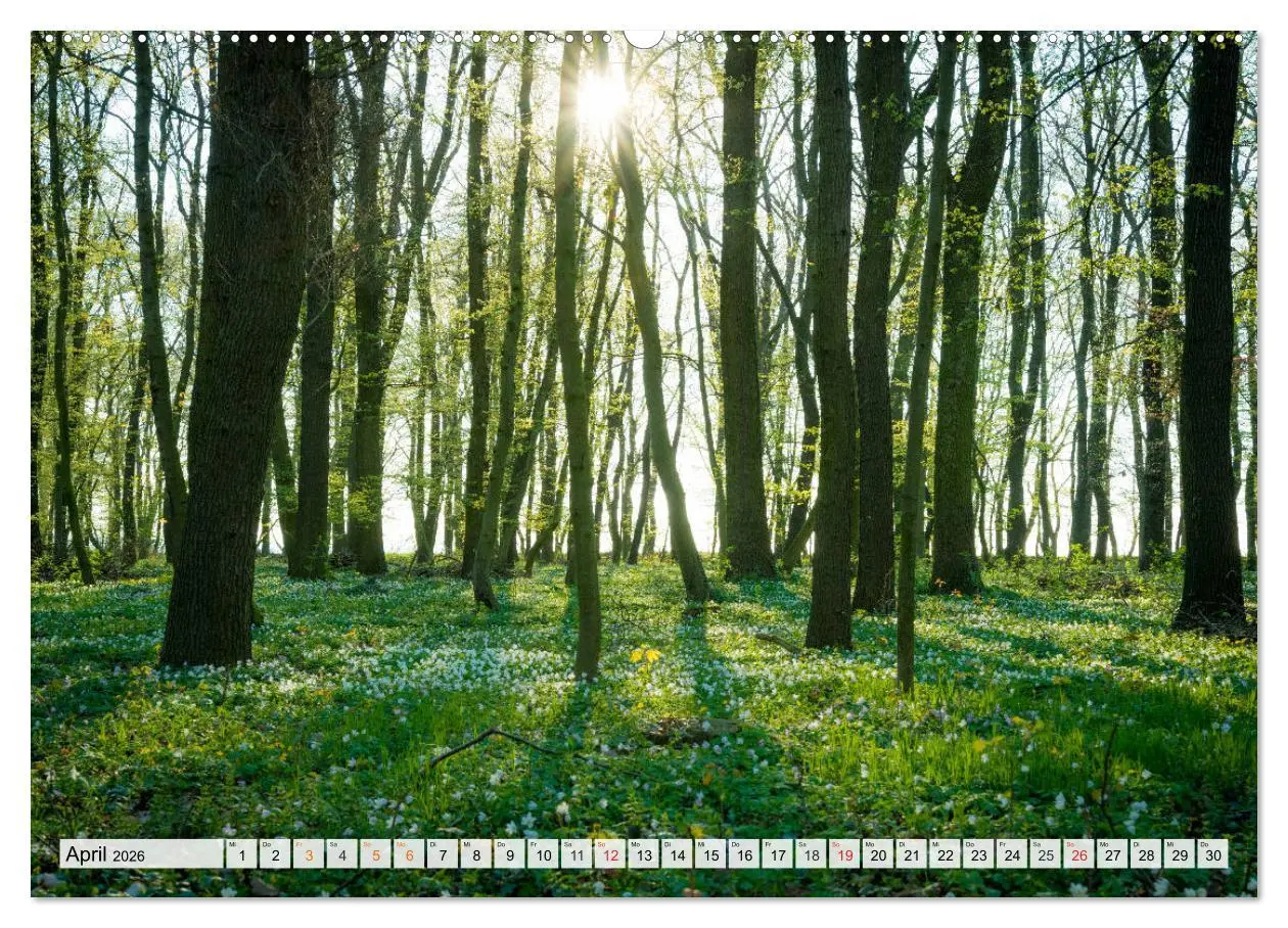 Bild: 9783516057140 | Willkommen im Burgenlandkreis (hochwertiger Premium Wandkalender...
