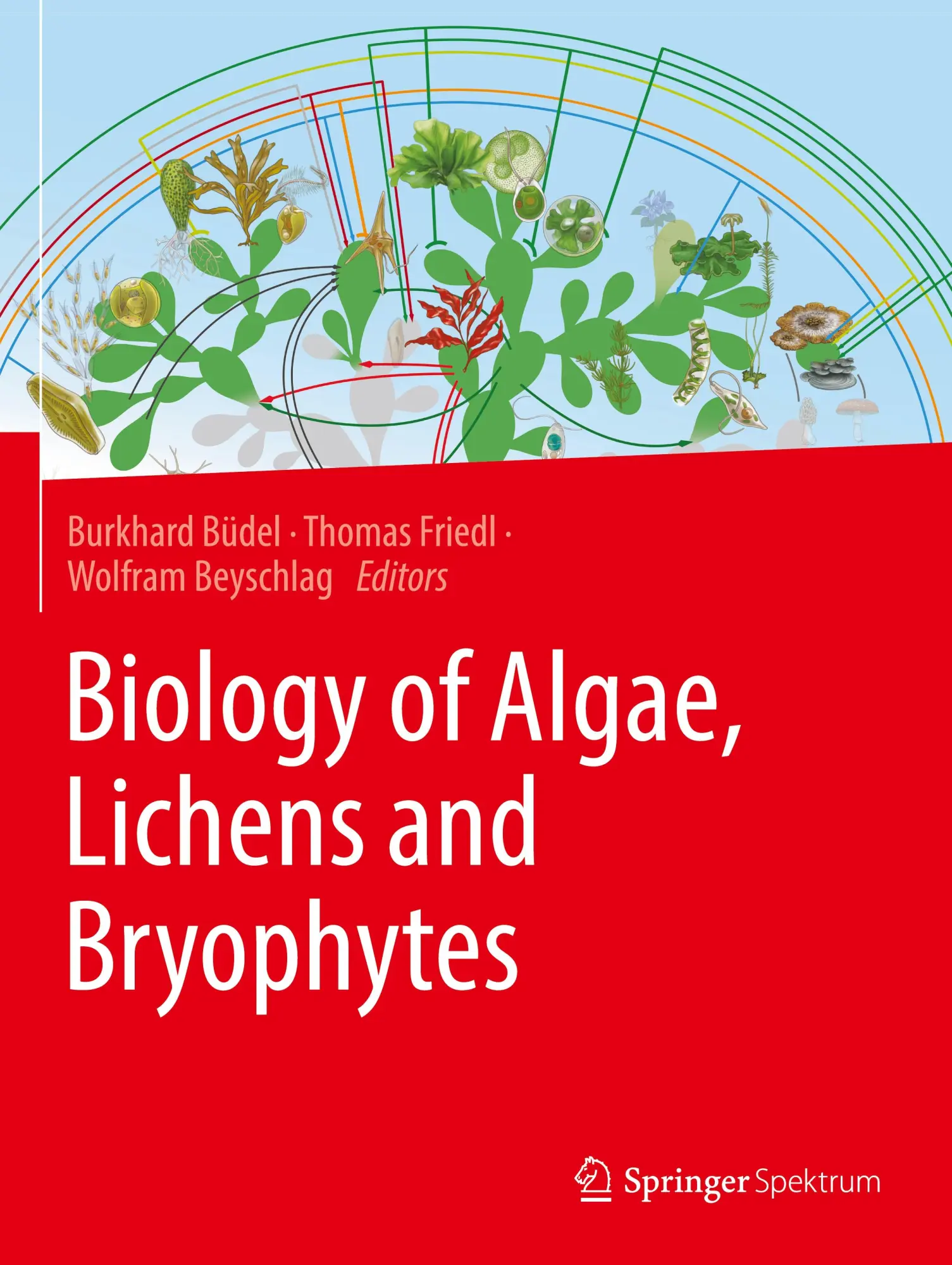 Cover: 9783662657140 | Biology of Algae, Lichens and Bryophytes | Burkhard Büdel (u. a.)