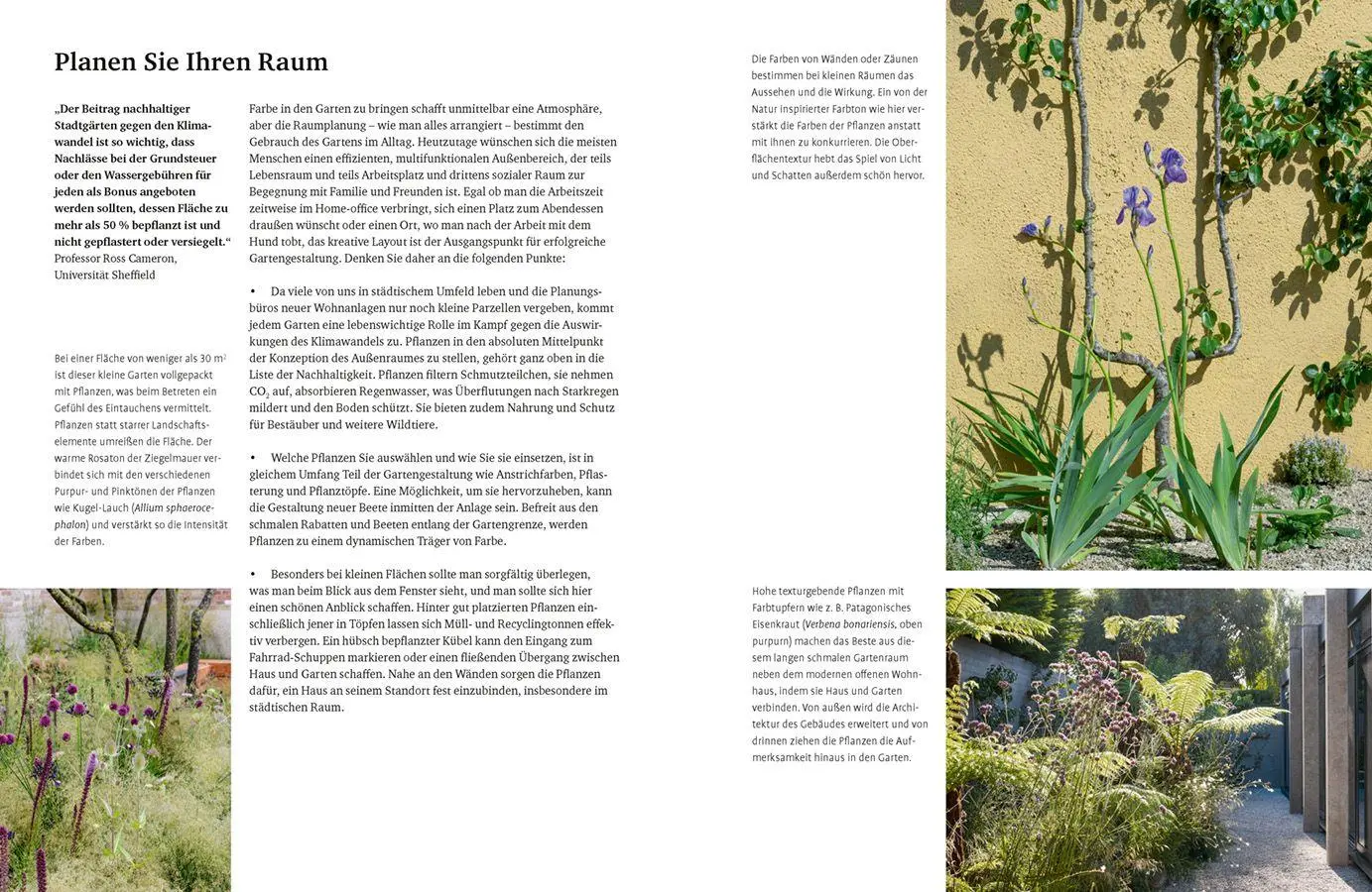 Bild: 9783818627140 | Grün in allen Farben | Lucy Bellamy | Buch | 224 S. | Deutsch | 2026