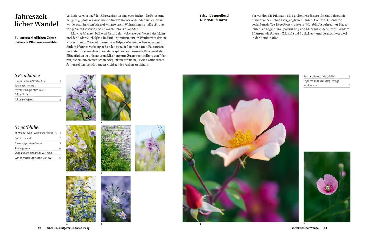 Bild: 9783818627140 | Grün in allen Farben | Lucy Bellamy | Buch | 224 S. | Deutsch | 2026