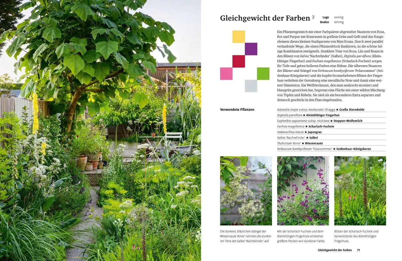 Bild: 9783818627140 | Grün in allen Farben | Lucy Bellamy | Buch | 224 S. | Deutsch | 2026