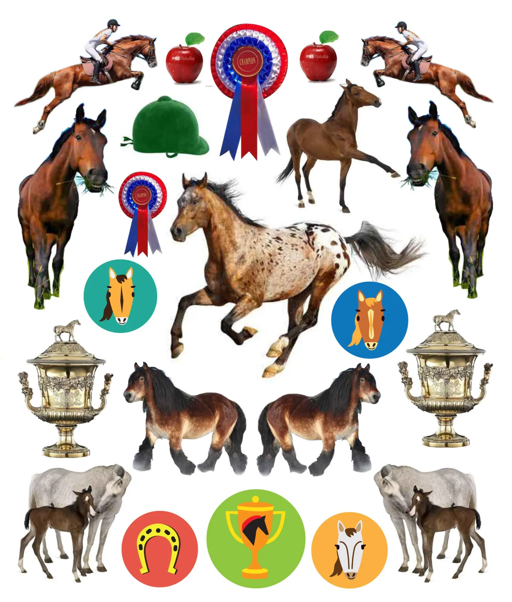 Bild: 9780761187240 | Eyelike Stickers: Horses | Workman Publishing | Broschüre | Geheftet