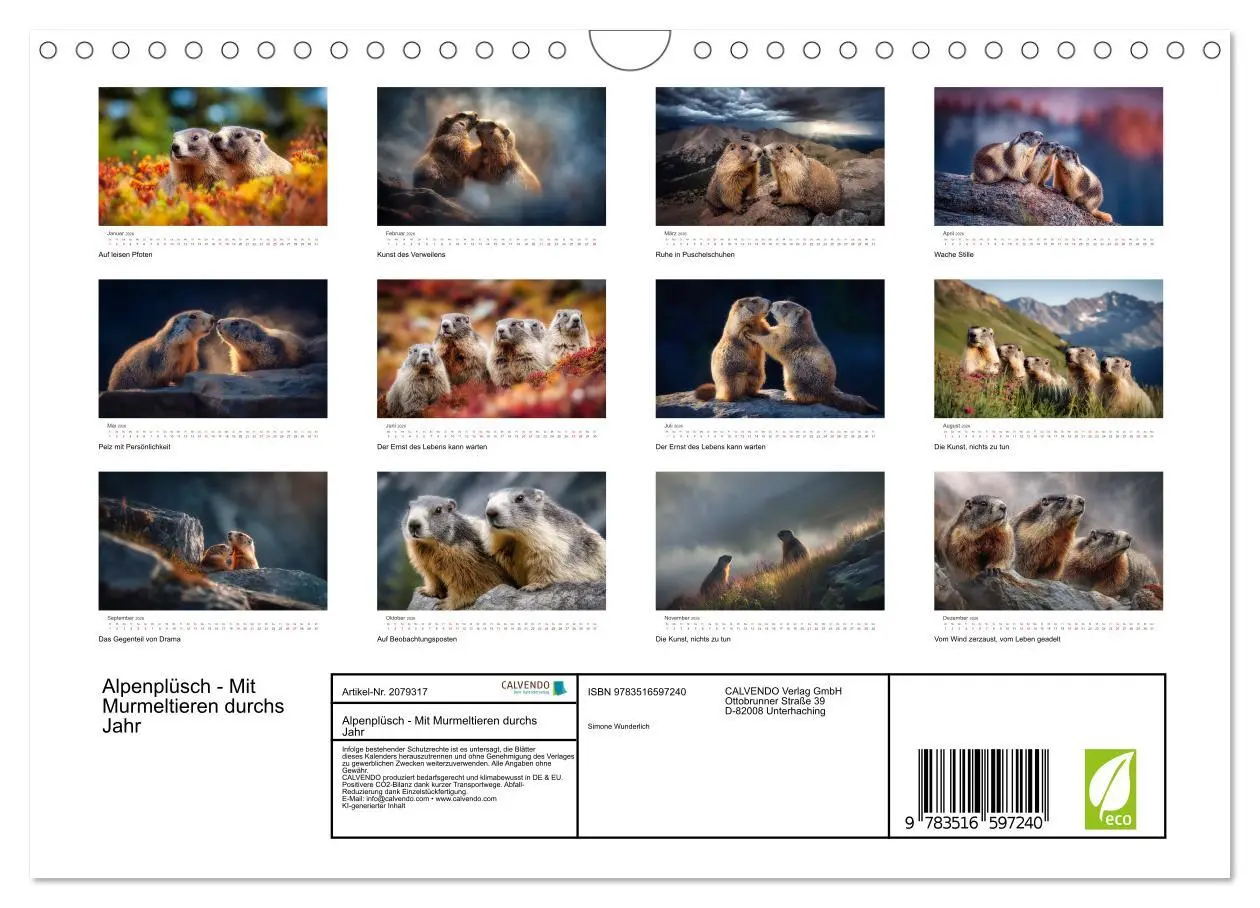 Bild: 9783516597240 | Alpenplüsch - Mit Murmeltieren durchs Jahr (Wandkalender 2026 DIN...