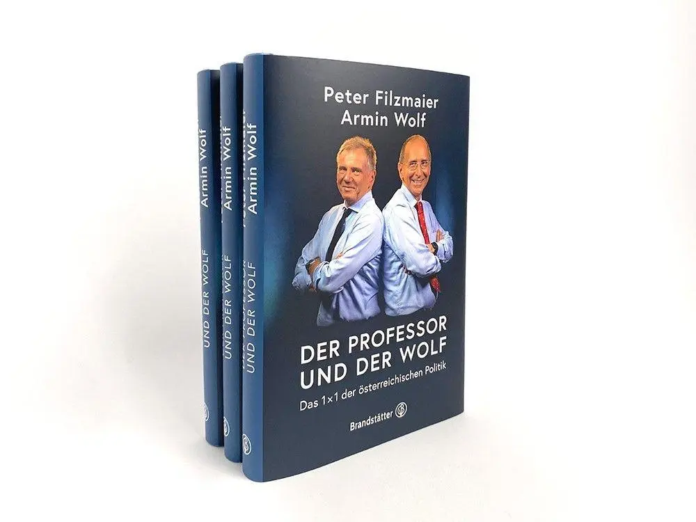 Bild: 9783710607240 | Der Professor und der Wolf | Das 1 x 1 der österreichischen Politik