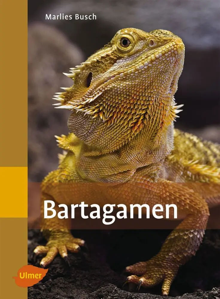 Cover: 9783800177240 | Bartagamen | Marlies Busch | Taschenbuch | 95 S. | Deutsch | 2012