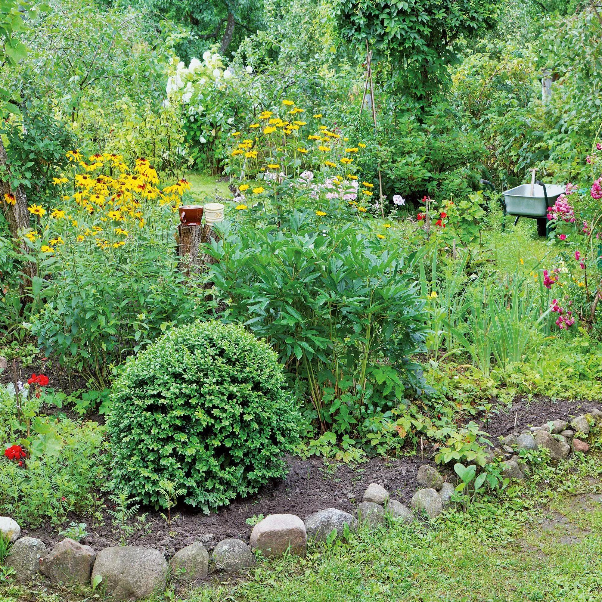 Bild: 9783959297240 | Bauerngarten / Cottage Garden 2027 | Kalender 2027 | Kalender | 28 S.