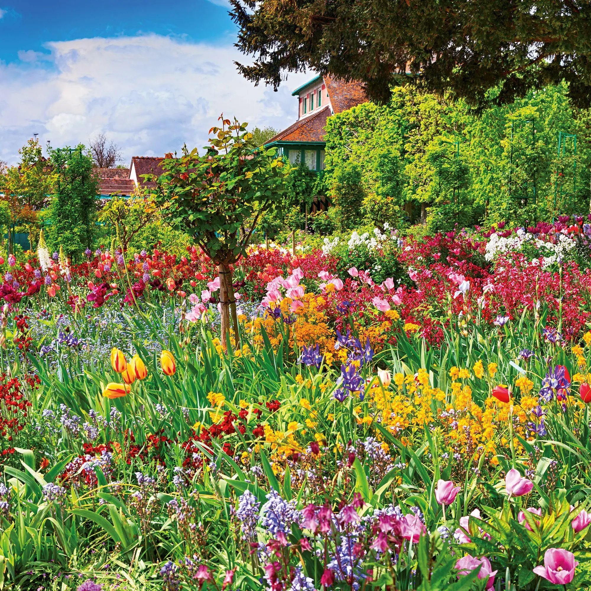 Bild: 9783959297240 | Bauerngarten / Cottage Garden 2027 | Kalender 2027 | Kalender | 28 S.