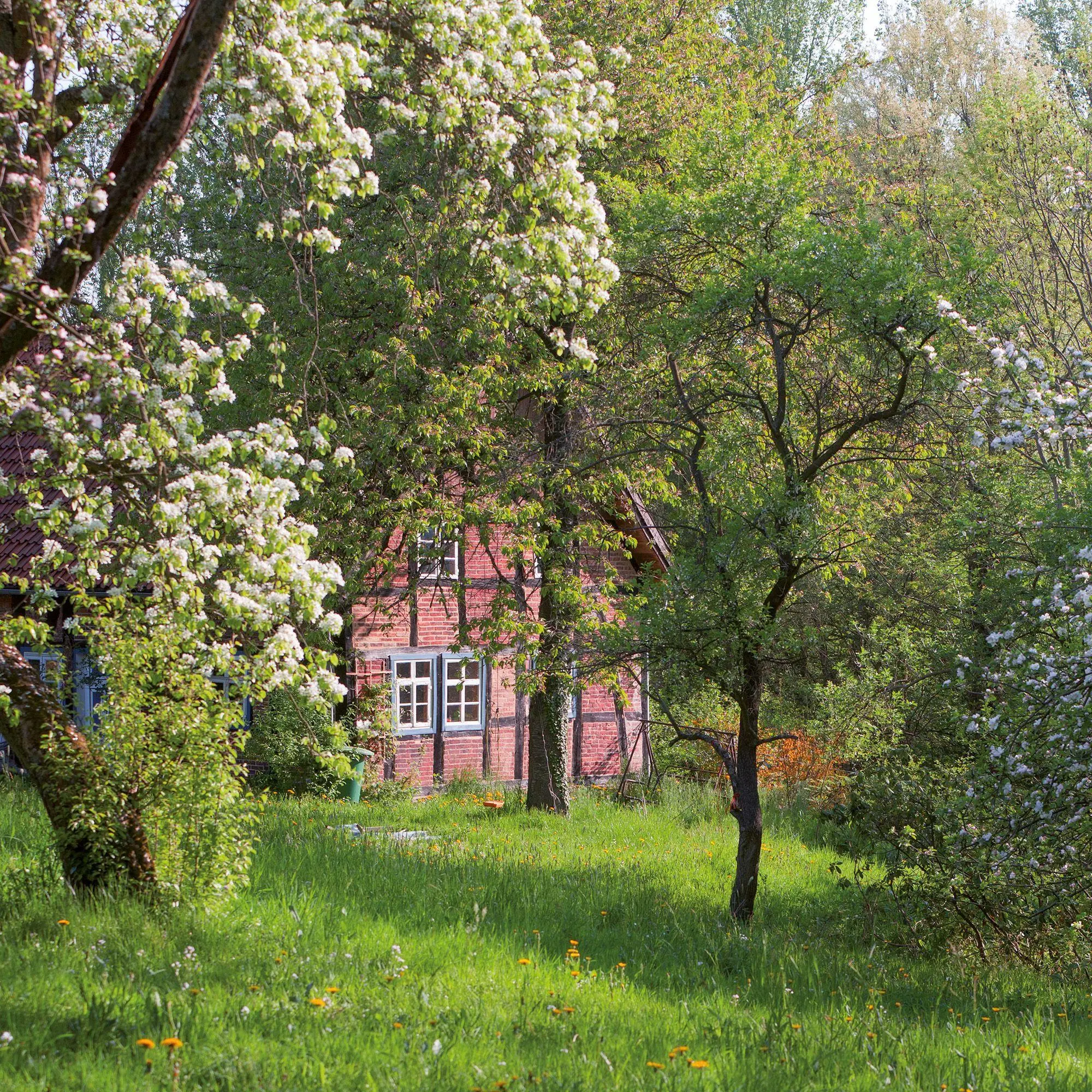 Bild: 9783959297240 | Bauerngarten / Cottage Garden 2027 | Kalender 2027 | Kalender | 28 S.