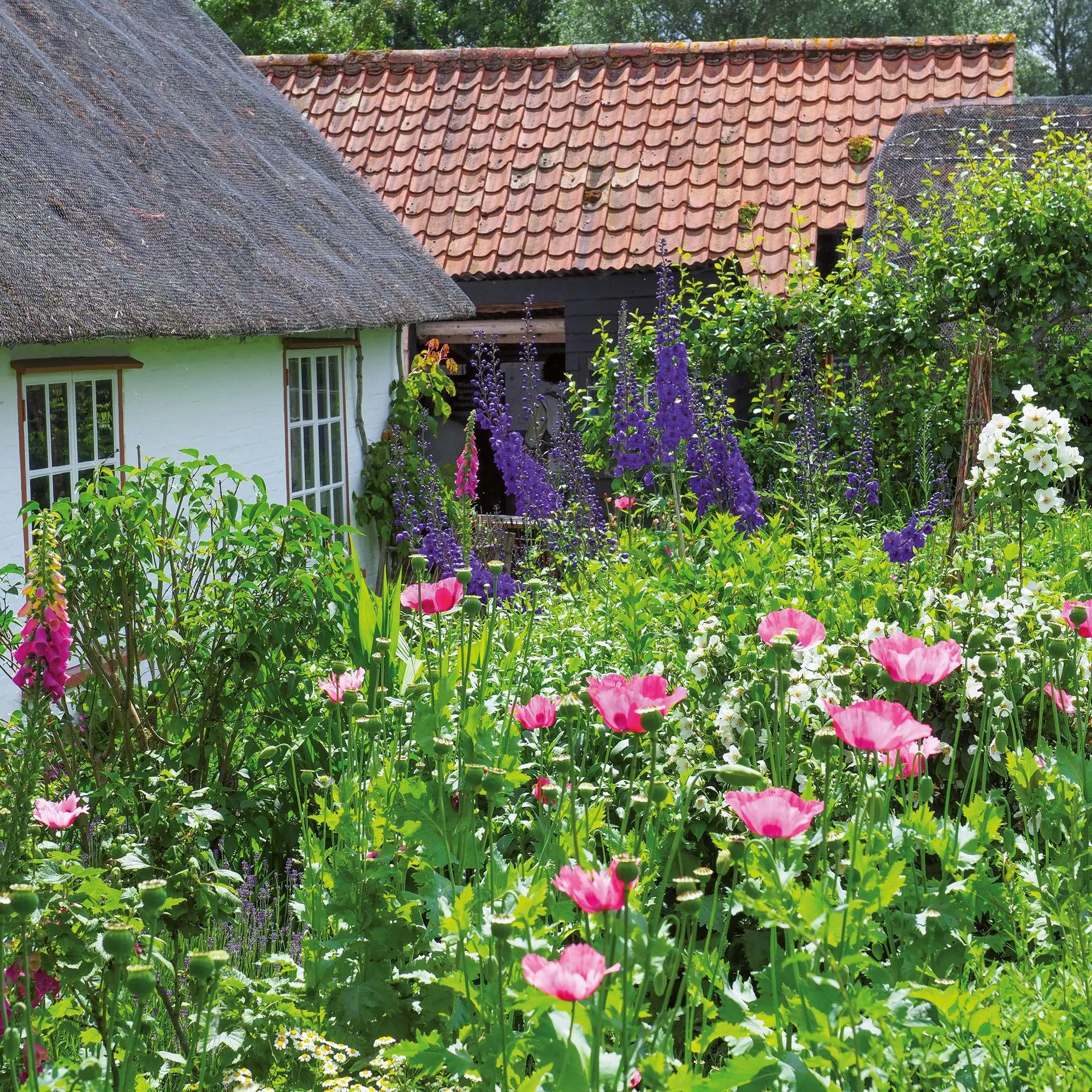 Bild: 9783959297240 | Bauerngarten / Cottage Garden 2027 | Kalender 2027 | Kalender | 28 S.
