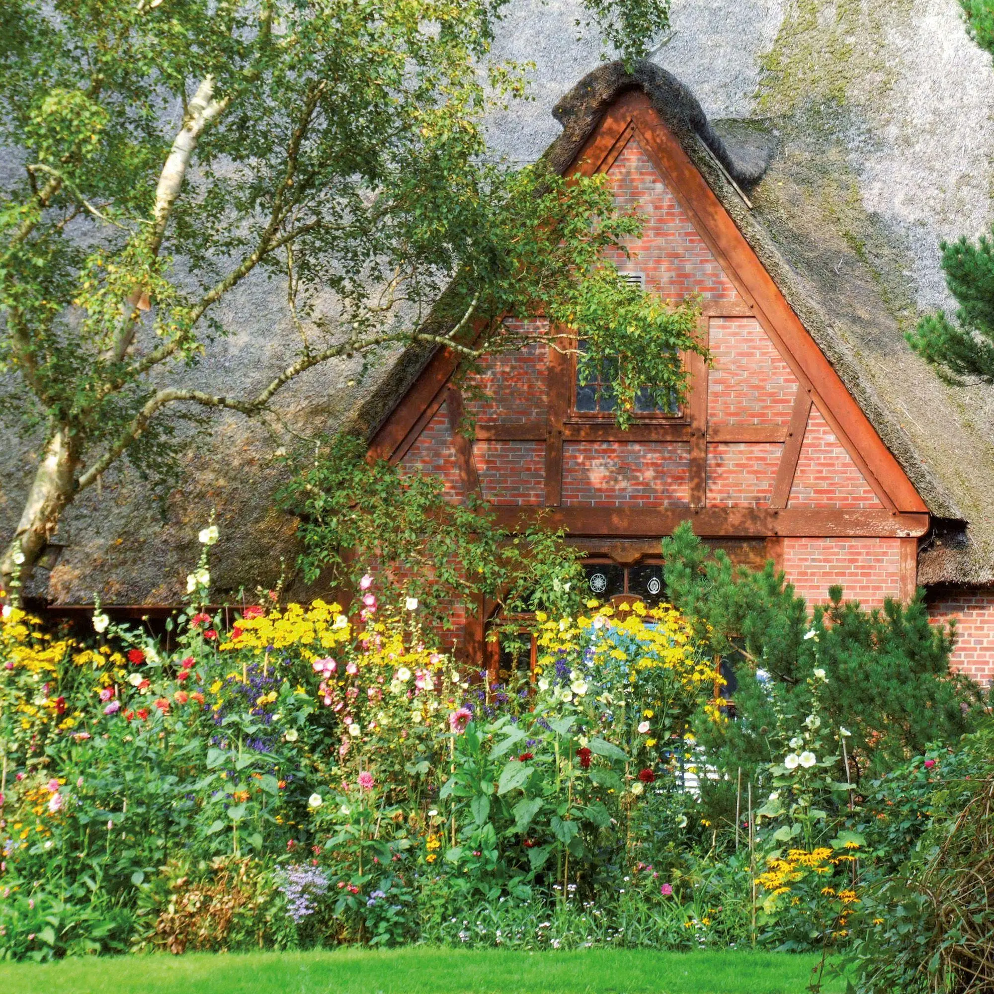 Bild: 9783959297240 | Bauerngarten / Cottage Garden 2027 | Kalender 2027 | Kalender | 28 S.