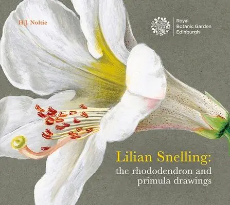 Cover: 9781910877340 | Lillian Snelling | The Rhododendron and Primula Drawings | Noltie