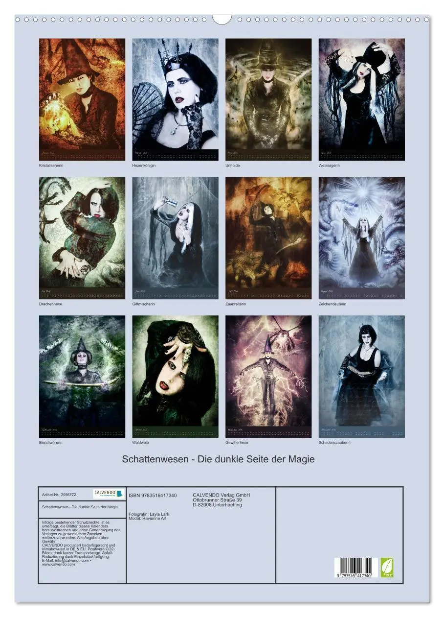 Bild: 9783516417340 | Schattenwesen - Die dunkle Seite der Magie (Wandkalender 2026 DIN...