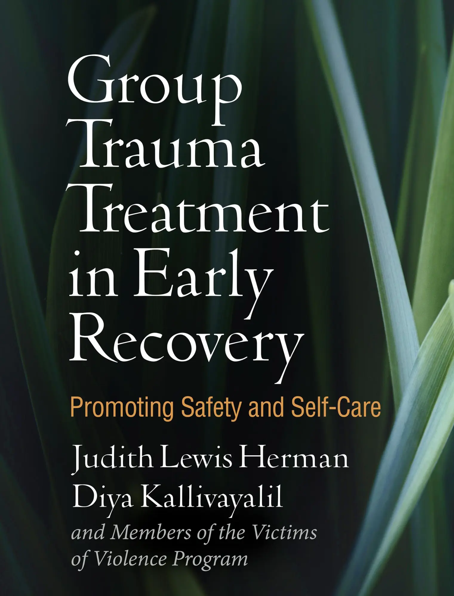 Cover: 9781462537440 | Group Trauma Treatment in Early Recovery | Barbara Hamm (u. a.) | Buch