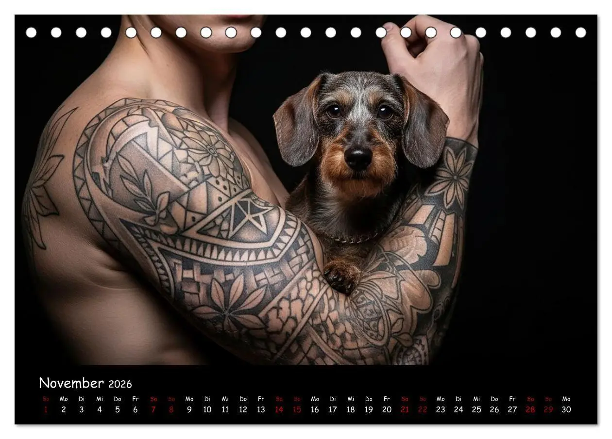 Bild: 9783516717440 | Coole Typen - Rauhaardackel (Tischkalender 2026 DIN A5 quer),...