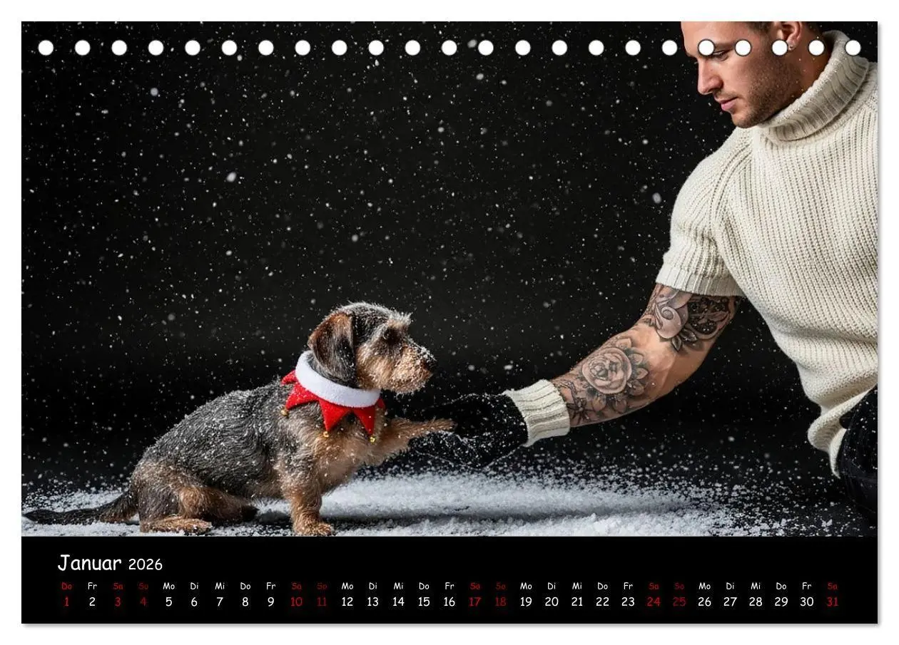 Bild: 9783516717440 | Coole Typen - Rauhaardackel (Tischkalender 2026 DIN A5 quer),...