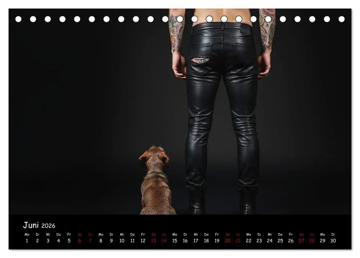 Bild: 9783516717440 | Coole Typen - Rauhaardackel (Tischkalender 2026 DIN A5 quer),...