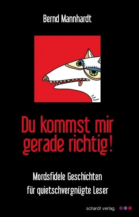 Cover: 9783898417440 | Du kommst mir gerade richtig! | Bernd Mannhardt | Taschenbuch | 2014