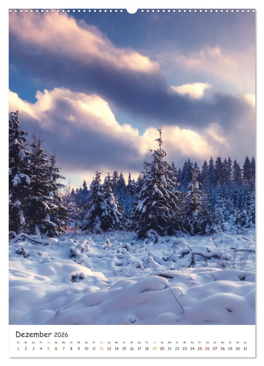 Bild: 9783516327540 | Bäume im Harz (hochwertiger Premium Wandkalender 2026 DIN A2 hoch),...