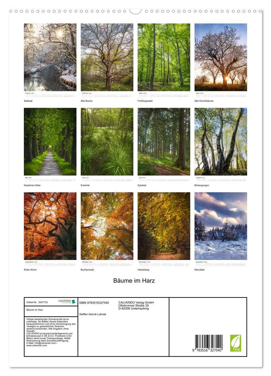 Bild: 9783516327540 | Bäume im Harz (hochwertiger Premium Wandkalender 2026 DIN A2 hoch),...