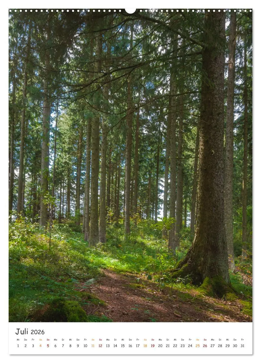 Bild: 9783516327540 | Bäume im Harz (hochwertiger Premium Wandkalender 2026 DIN A2 hoch),...