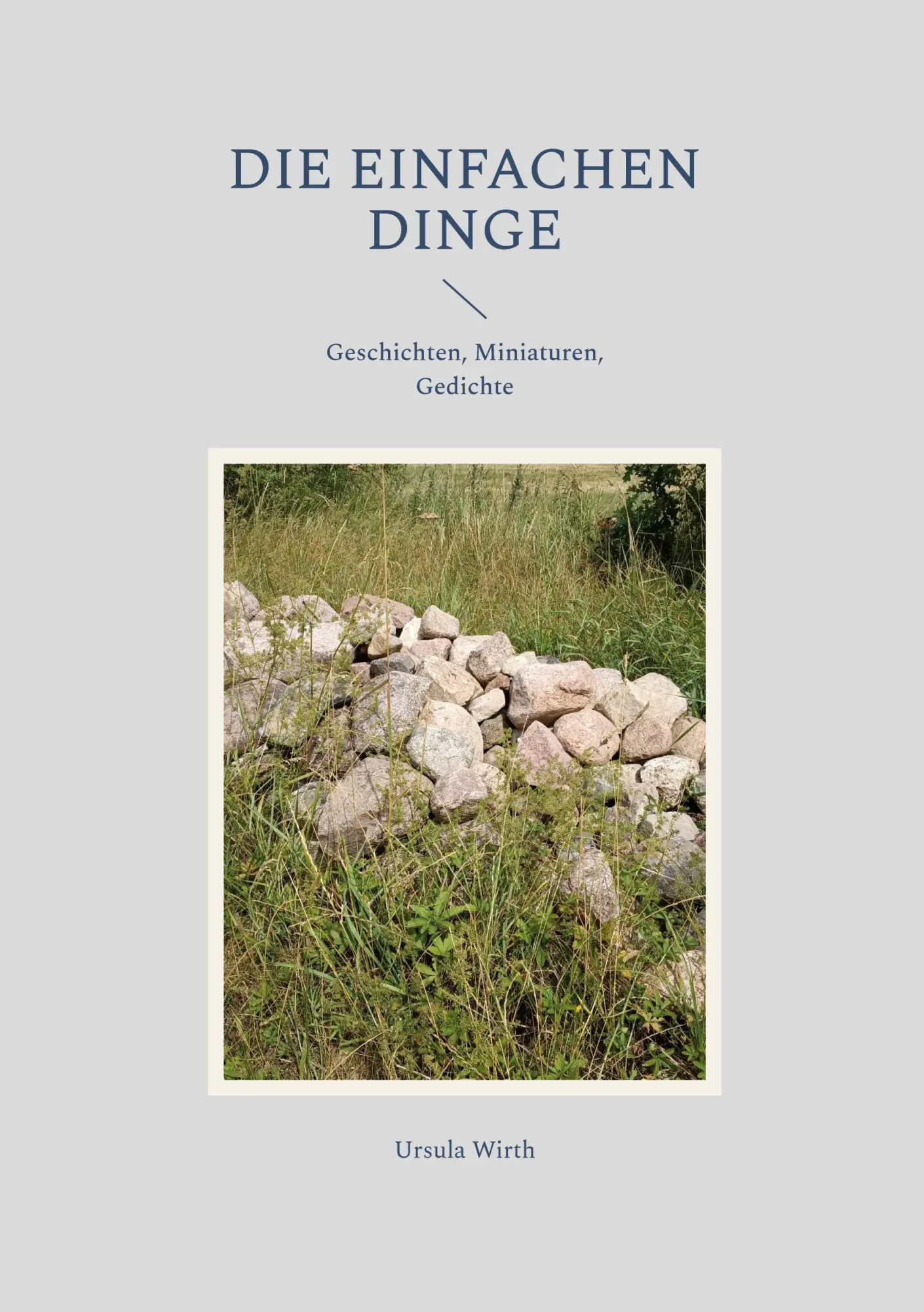 Cover: 9783696377540 | Die einfachen Dinge | Geschichten, Miniaturen, Gedichte | Ursula Wirth