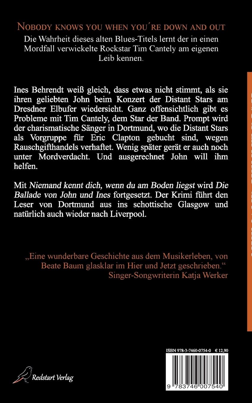 Rückseite: 9783746007540 | Niemand kennt dich, wenn du am Boden liegst | Musikerroman | Baum